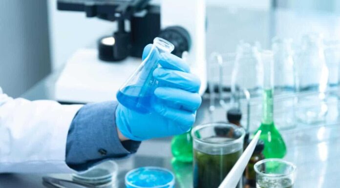 No-todo-es-una-formula