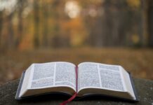 NO SOLO FUERON PALABRAS